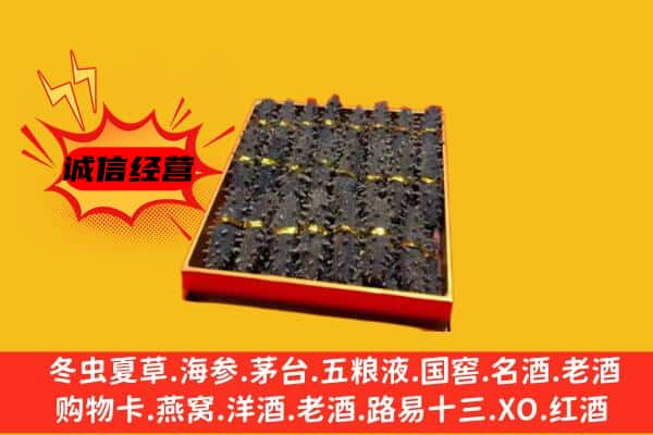 红河绿春县回收海参